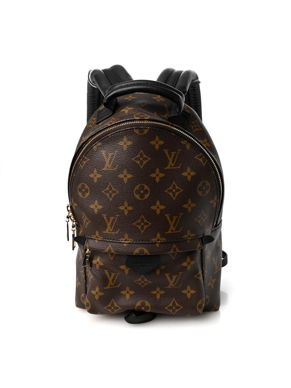 Louis Vuitton Palm Springs Backpack Pm #360708L12B